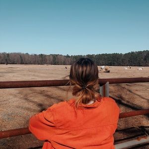 Meet your Posher, Lily